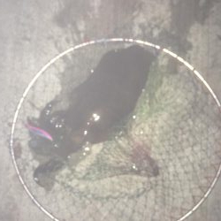 思ったより小さい