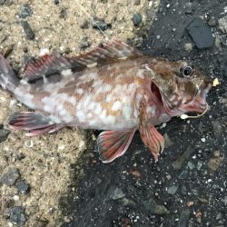 出勤前に。 part 5