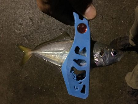 泉南ライトゲーム