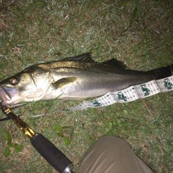 久しぶりの釣行