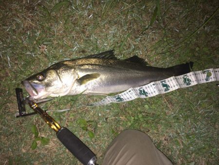 久しぶりの釣行