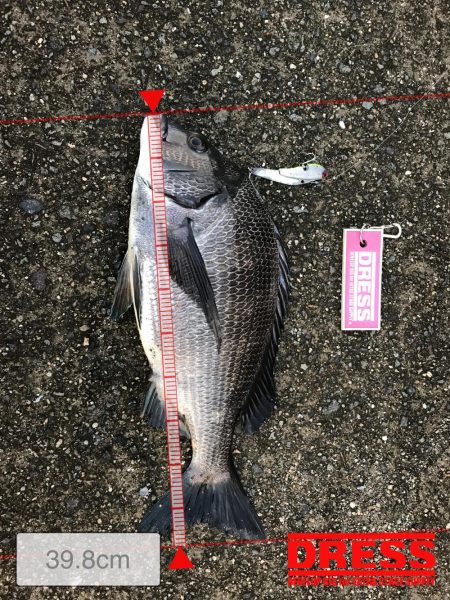 ミスキャストしたら釣れた(//∇//)