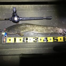 坊主のフォロー