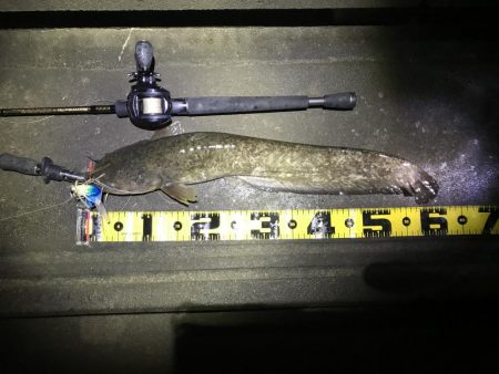 坊主のフォロー