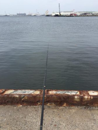 5月の初めは豆サバだったけど、6月終わりに…