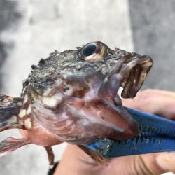 出勤前に。  part 6