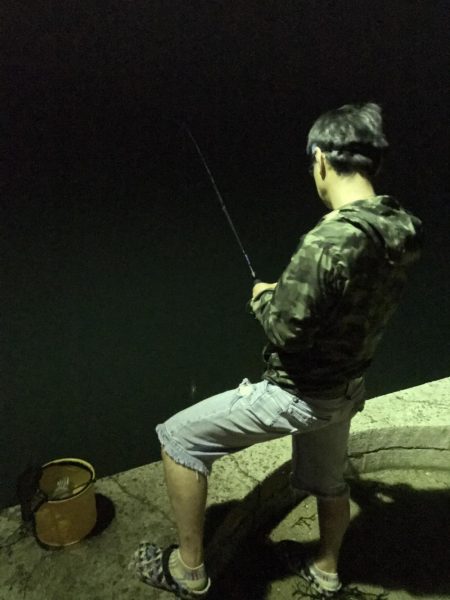 広島に引っ越して初めてのエギング