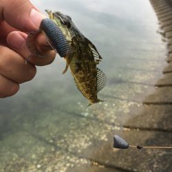 バスのワームで