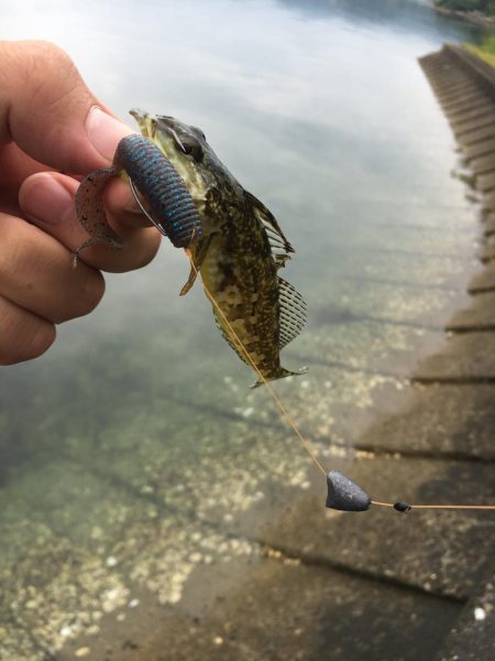 バスのワームで