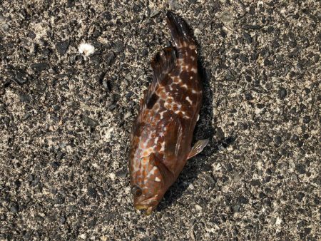 夏の日差しの中