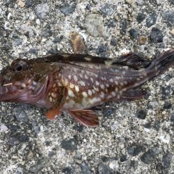 出勤前に。  part 8