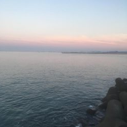 東沖洲テクトロでカサゴ