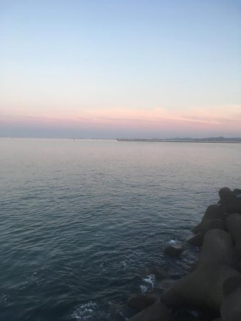 東沖洲テクトロでカサゴ