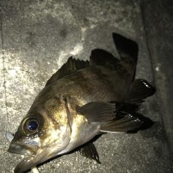 なんとか台風前に