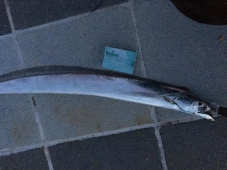 ショアジギング