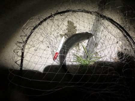 安定のエリア10