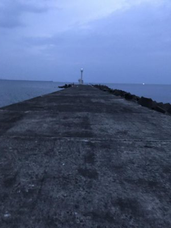 夕方ショアジギング