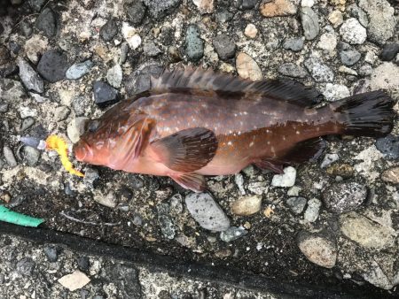 ライトロック！