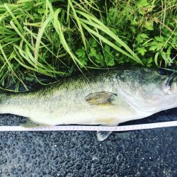 59cm！！ウエイト測ってないけど、痩せてるー