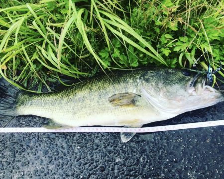 59cm！！ウエイト測ってないけど、痩せて…