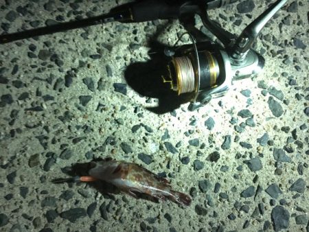 相手はガッシーのみ