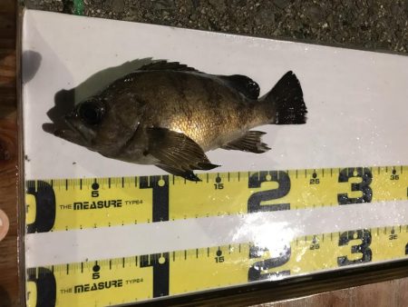 淡路島観光ホテルに宿泊