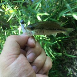 豆バスと遊んできました！