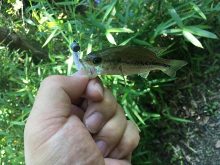 豆バスと遊んできました！