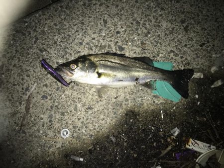 ラストバチパターン