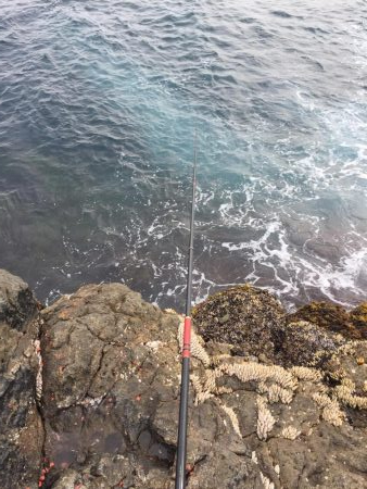 久しぶりの芝渡船