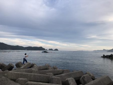 サビキでアジ！