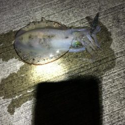 ボトム放置からの！