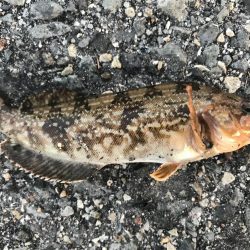 出勤前に。part4