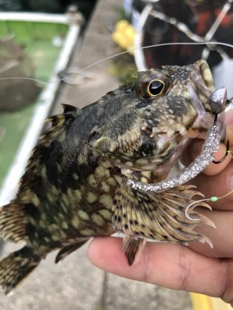 ちょこっとフィッシング！