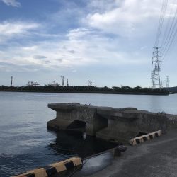 またまた五目釣り！