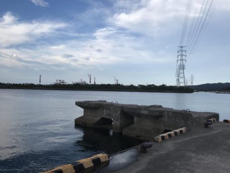 またまた五目釣り！