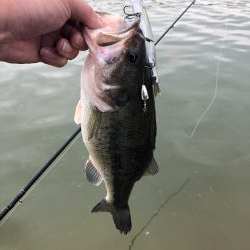 ドリームレイク釣行