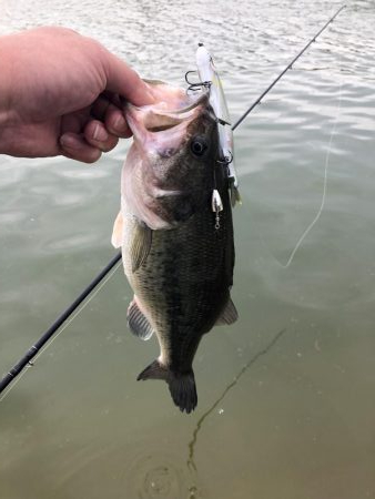 ドリームレイク釣行