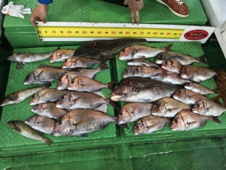 明石海峡 鯛ラバ好調