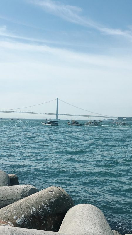 青物不発からのアオリ