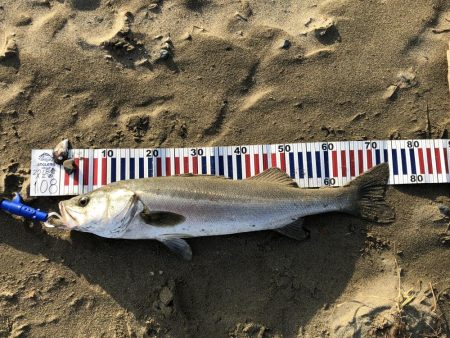 リフト&フォール