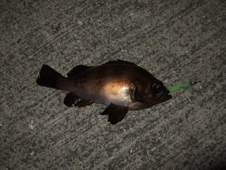 強風の中なんとか