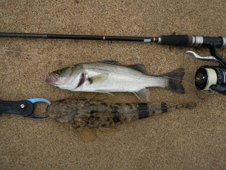 もう少しサイズが…