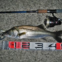 オートリリース