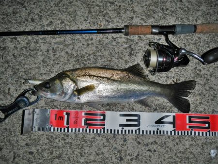 オートリリース