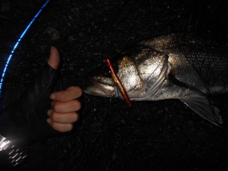 うにょうにょとJHリグを使い分けて。