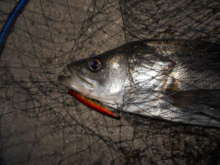 やはり表層か？。