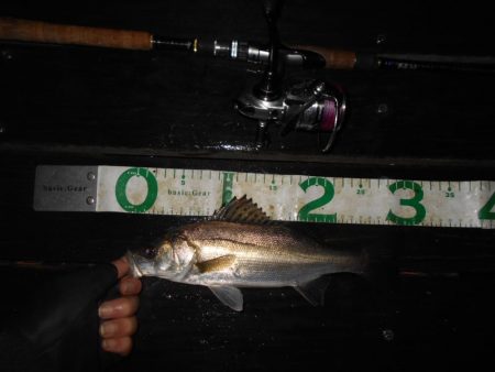 チビが多い…。