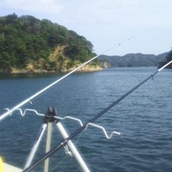 カレイ狙いが……