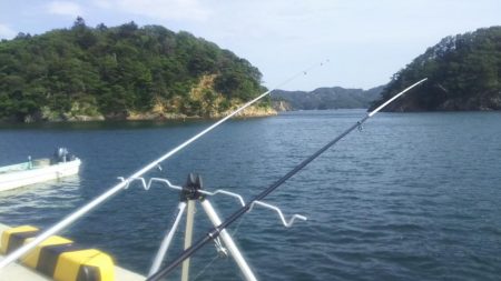 カレイ狙いが……